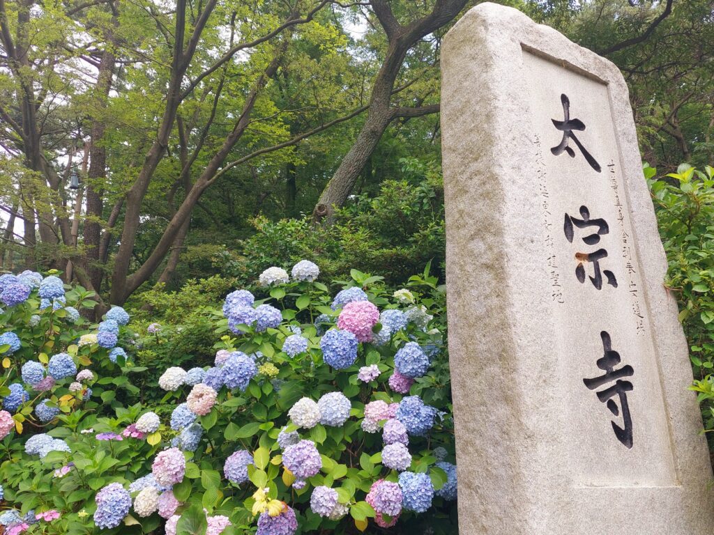 釜山景點太宗台太宗寺繡球花季