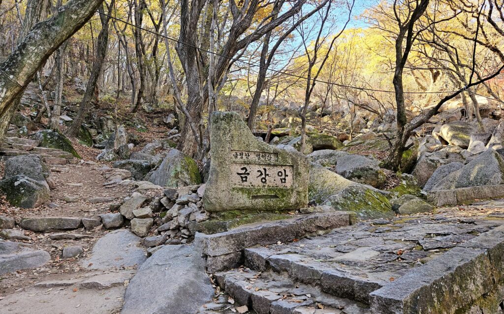 金井山登山