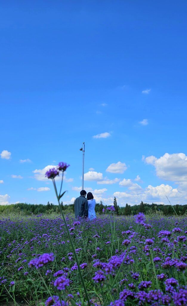 大渚生態公園